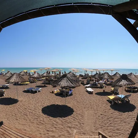 بيلكون بيليك