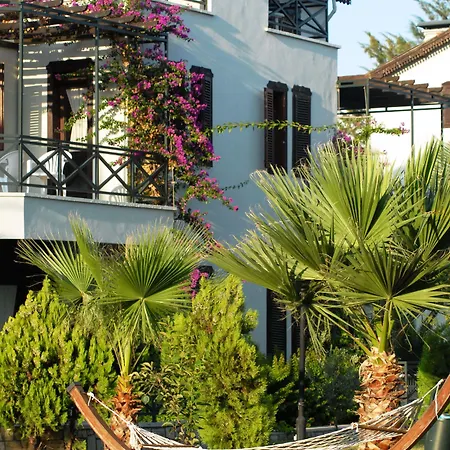 بيلكون 3* بيليك