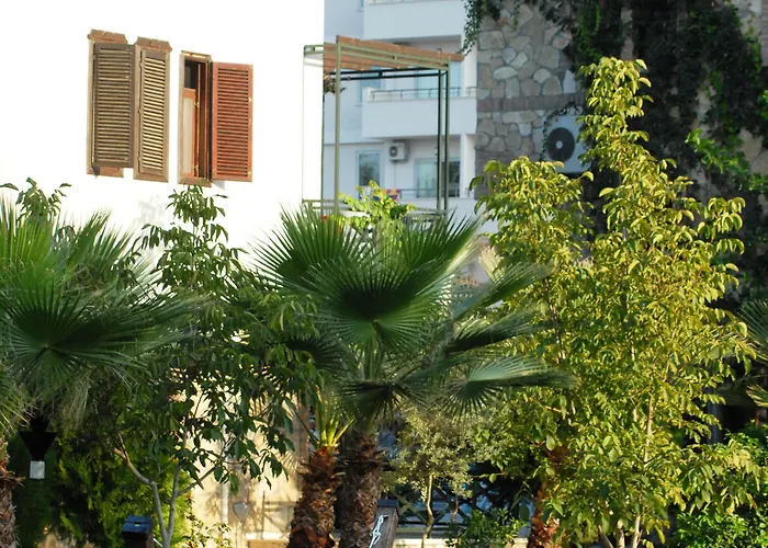 Hotel Belkon