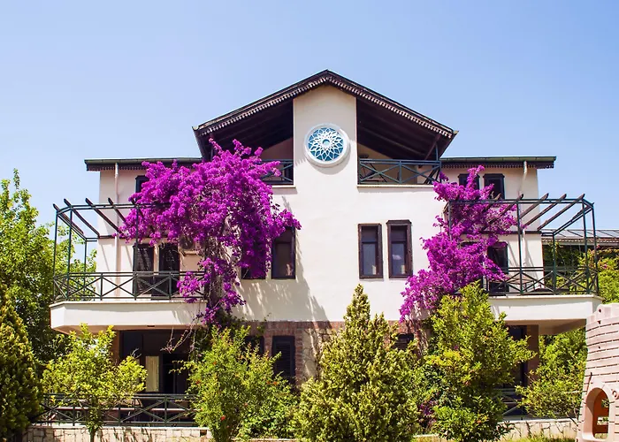 Belkon Hotel 3*